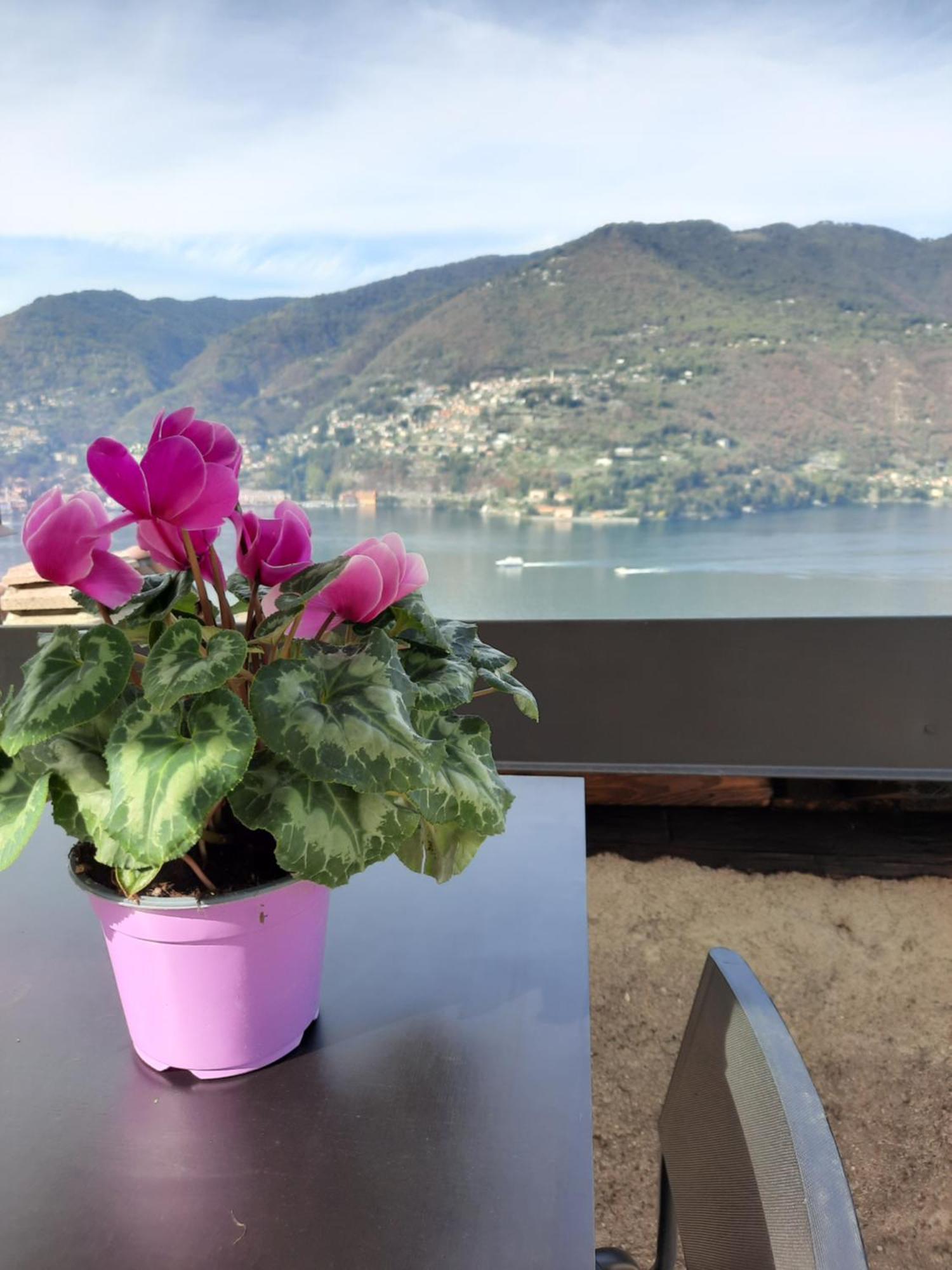 Luxury Room La Terrazza Sul Lago Di Como Blevio Exterior photo